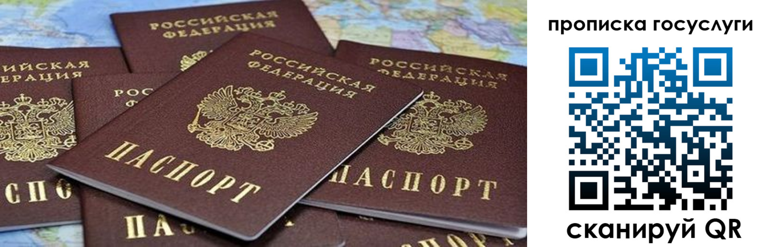 пропишу в квартире в Рубцовске